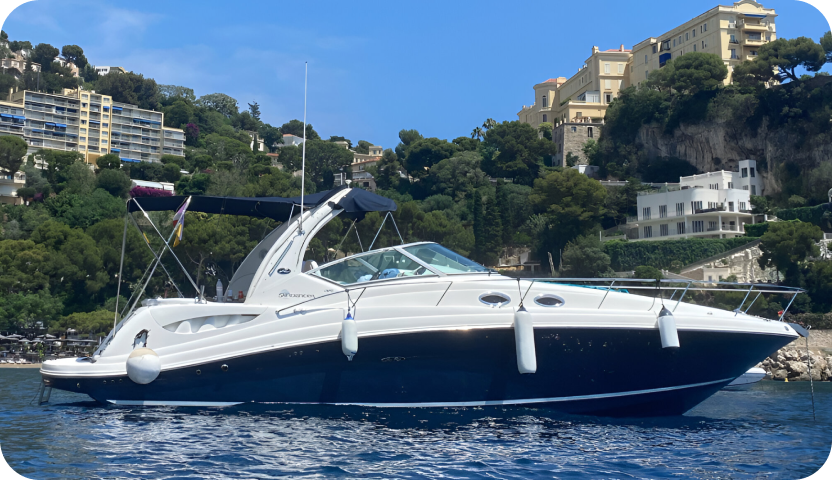 SEA RAY 375